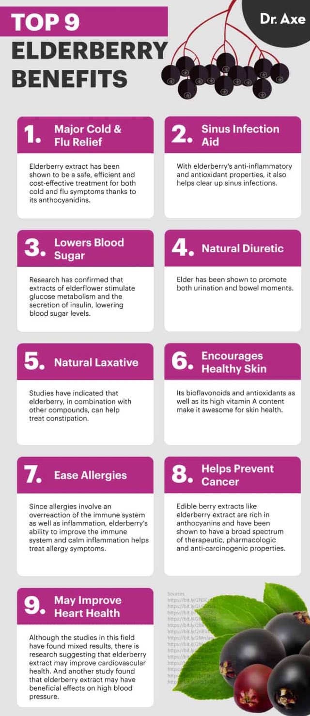 The Power of Elderberry: 9 Reasons to Make It Part of Your Routine