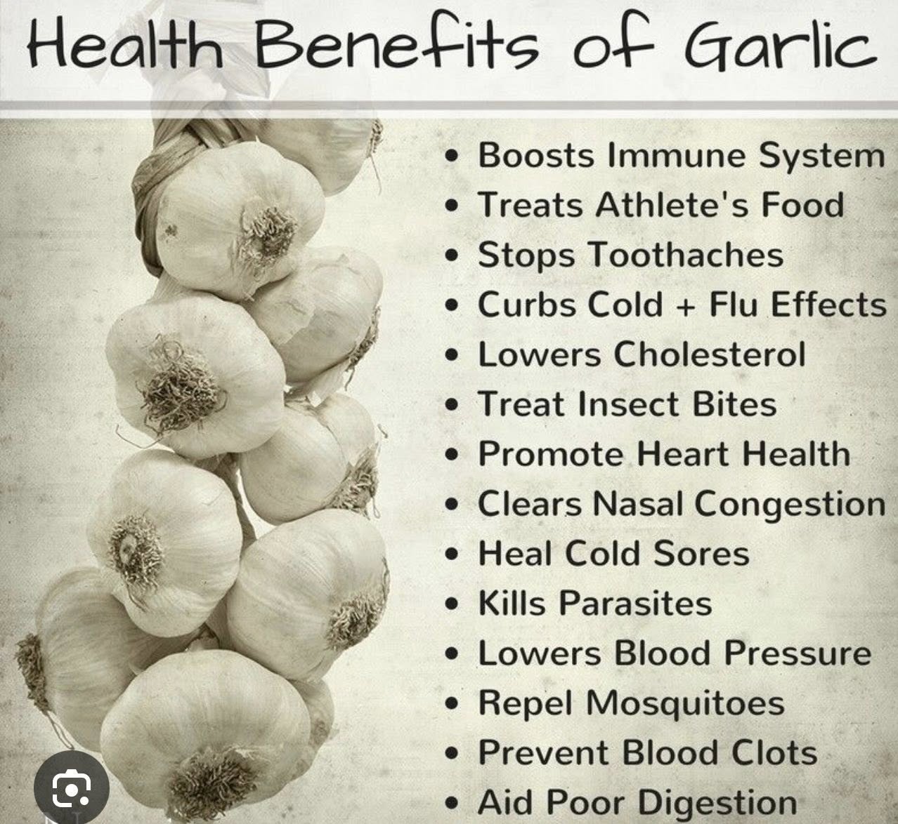 Garlic Oil: The Ancient Remedy Modern Families Swear By
